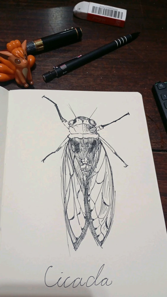 Cicada. Uhh they burrow underground for years