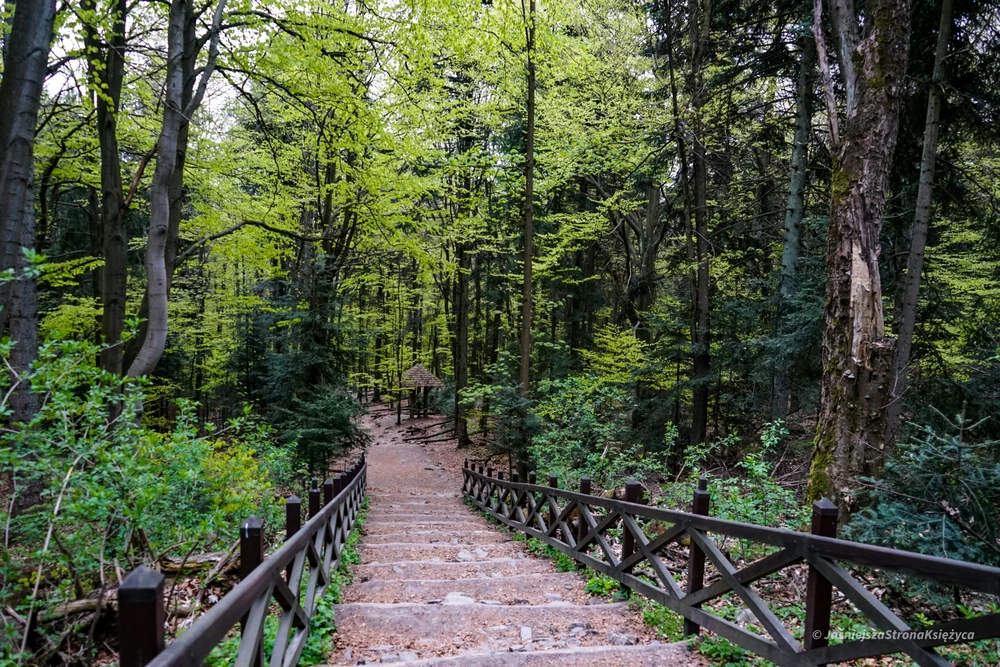 Zdjęcie dodane przez Sylwia
