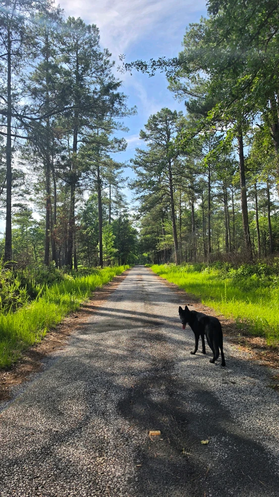Image uploaded by Christie