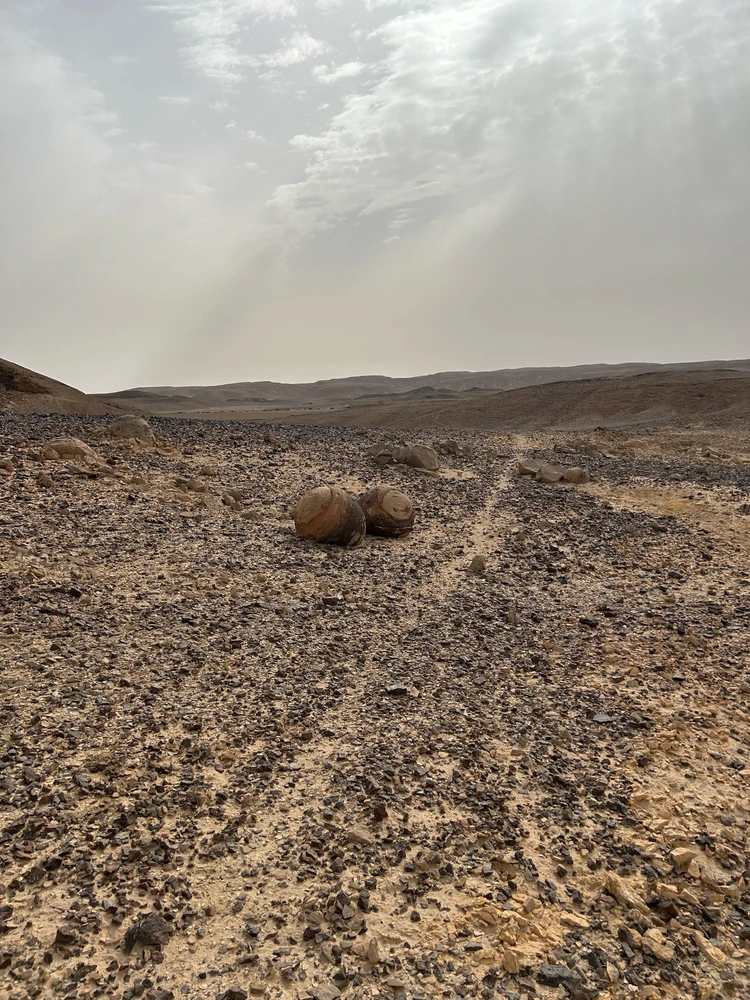 تصویر آپلود شده توسط Yaara