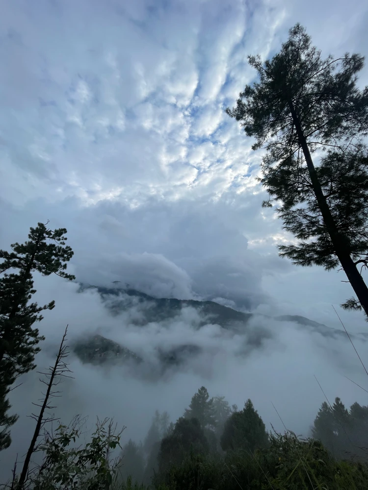 Its a view today after rainfall up in Himalayas 