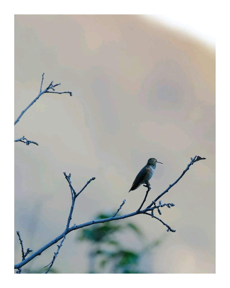 تصویر آپلود شده توسط William