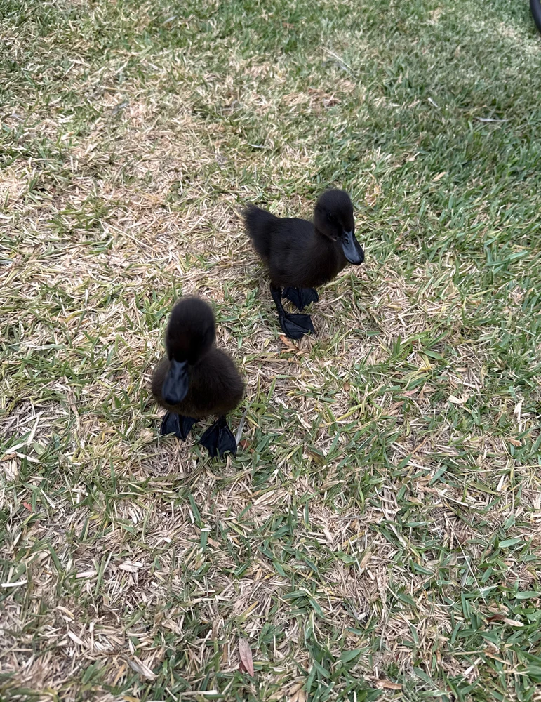 GIF uploaded by Dennis