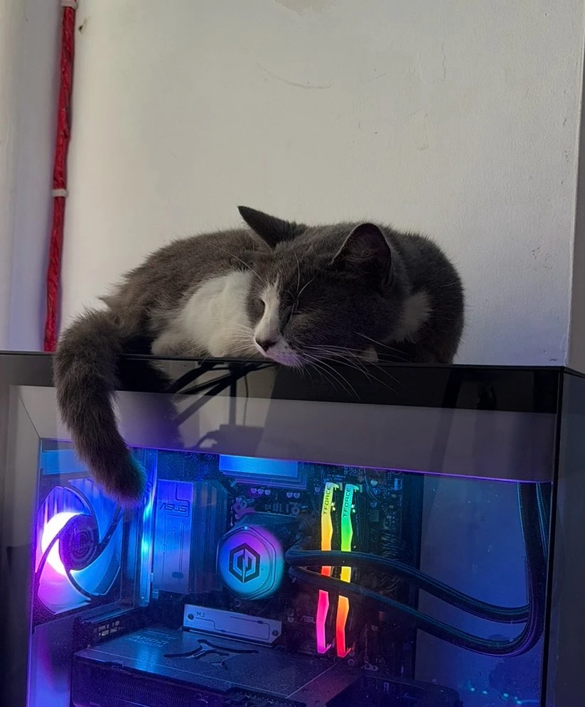 GIF uploaded by izey