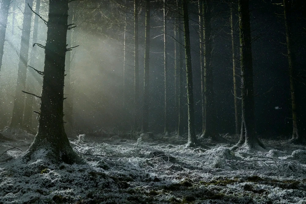 GIF nahrál Poe