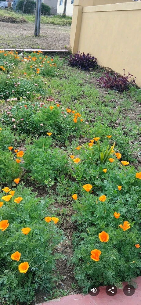 GIF uploaded by Soso