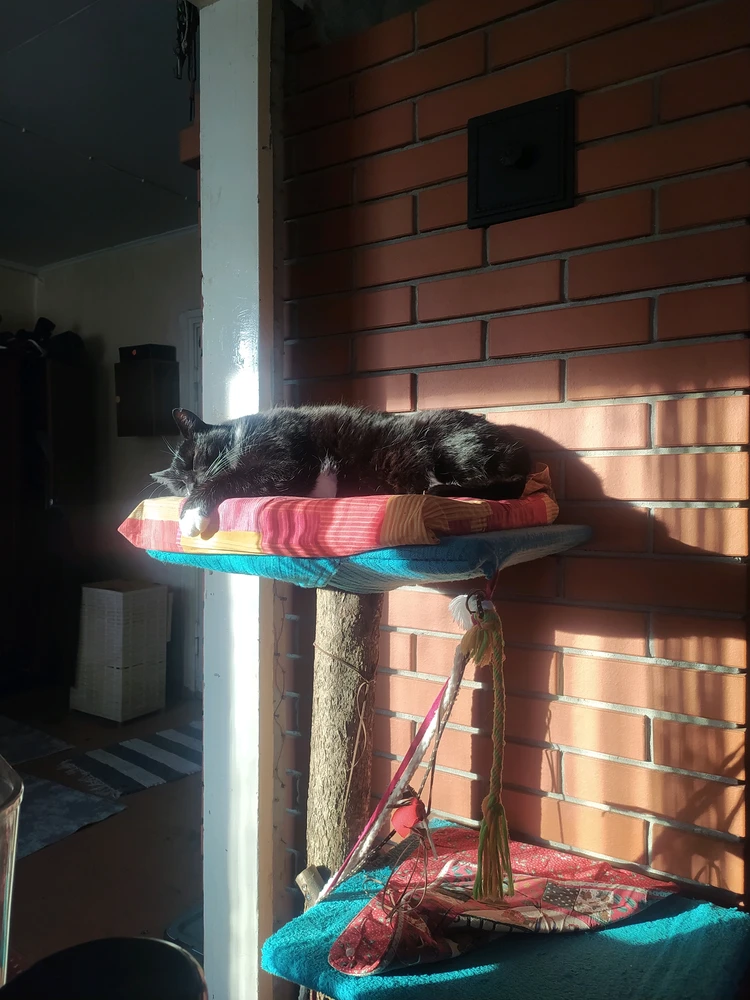 GIF uploaded by Elvis
