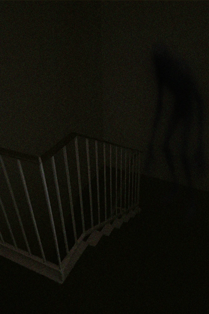 GIF uploaded by Willow