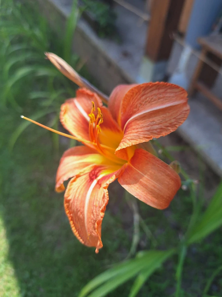 GIF uploaded by Pavle Pešić