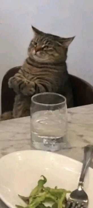 GIF dimuat naik oleh Yuske