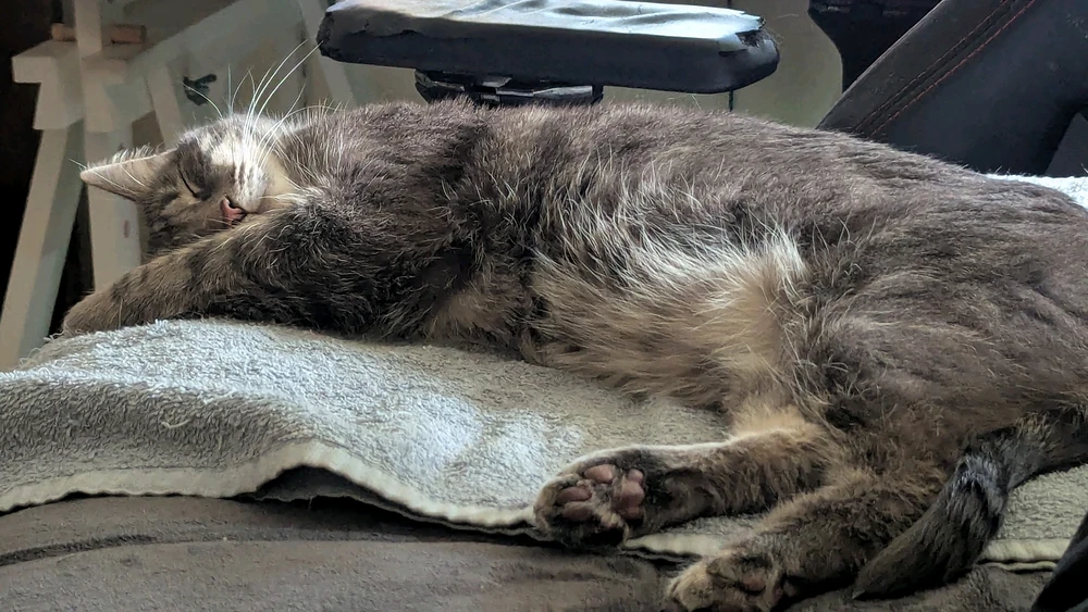 GIF încărcat de Jason