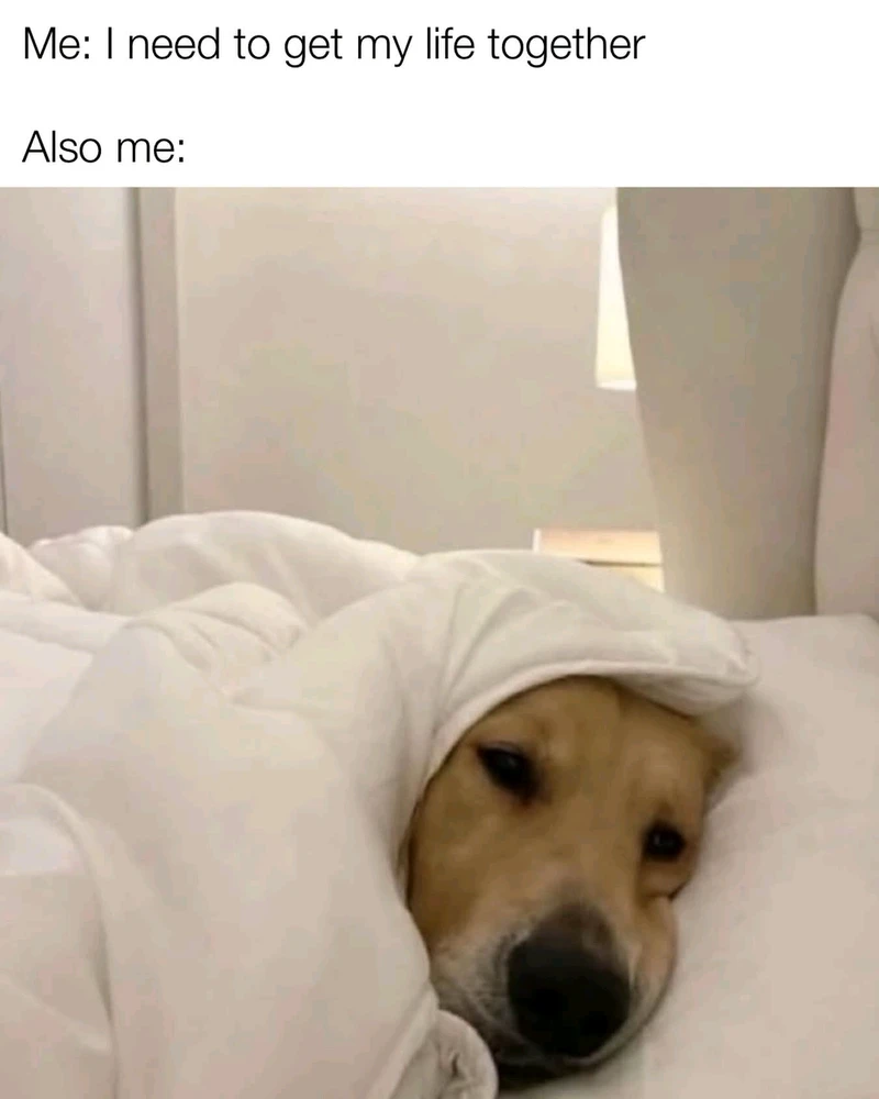 GIF uploaded by Matea