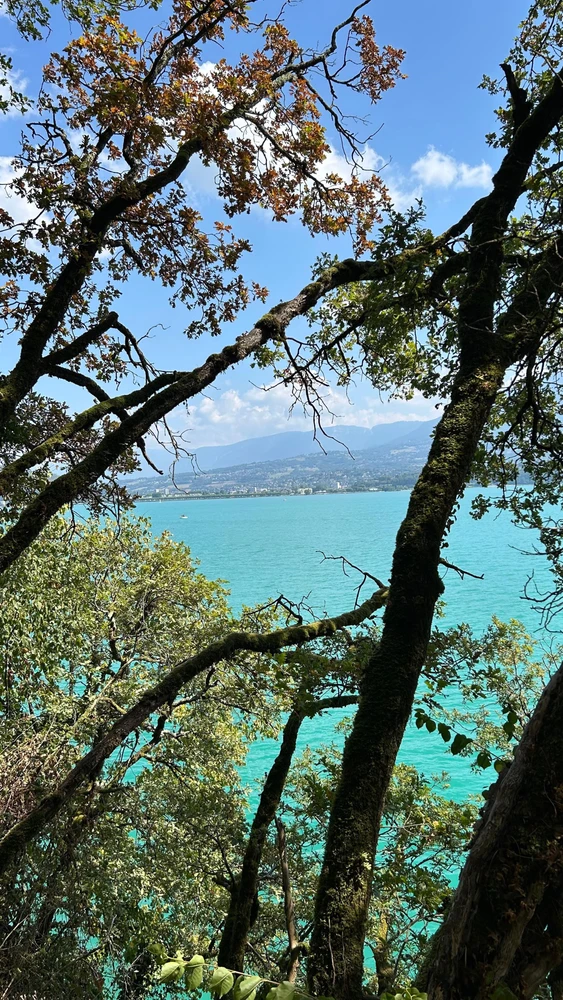 Image ajoutée par Anastasia