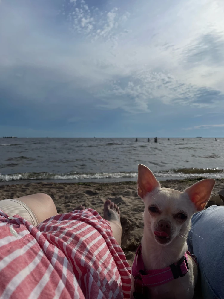 Image uploaded by Antonina