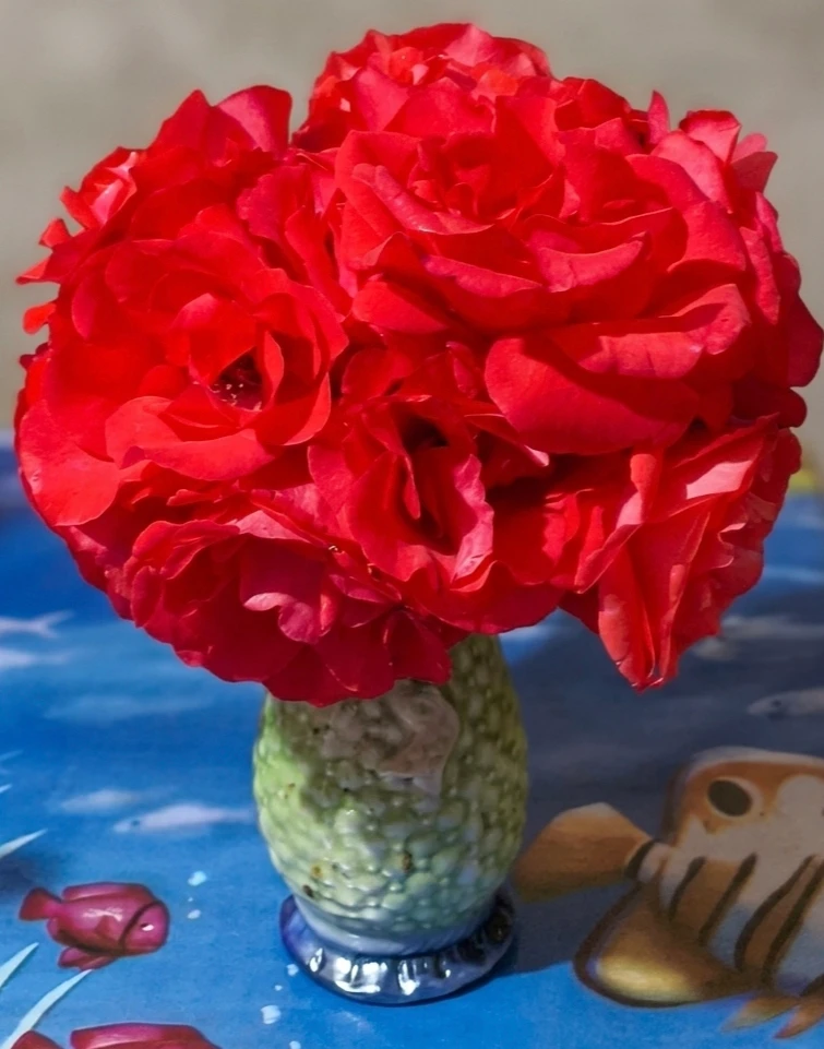 GIF uploaded by Egyptian lady