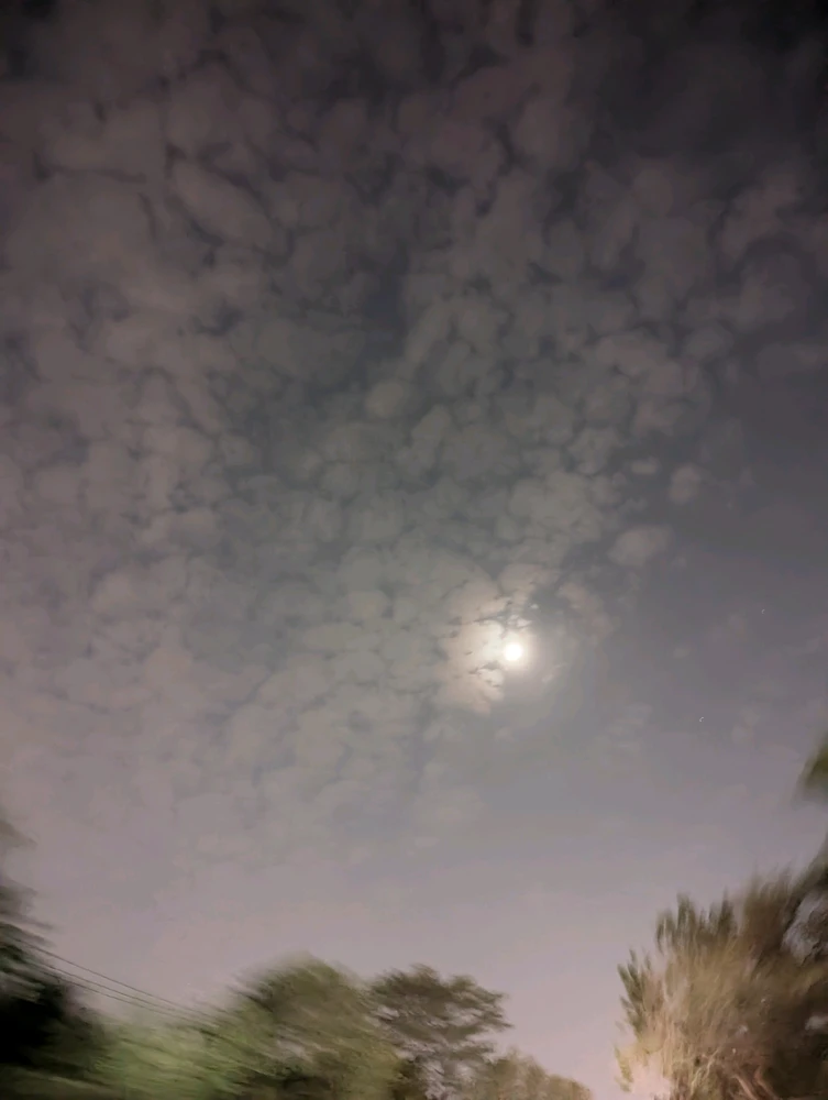 GIF uploaded by Faizan