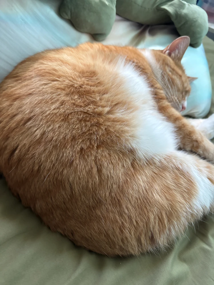 GIF tí Maddie gbé sókè