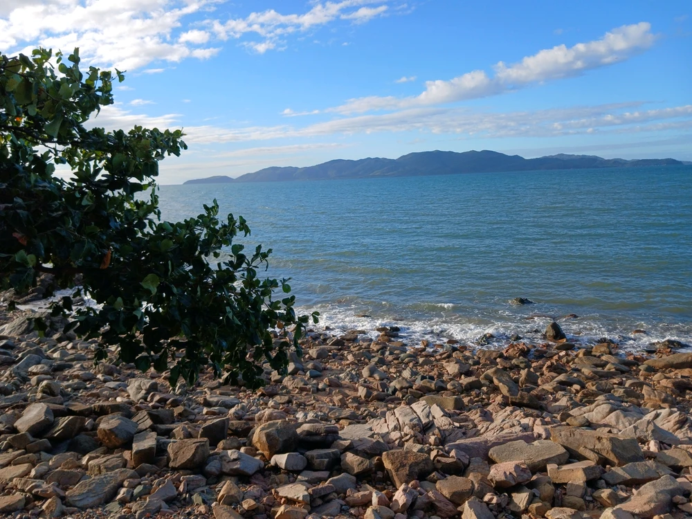 Image uploaded by Brenton