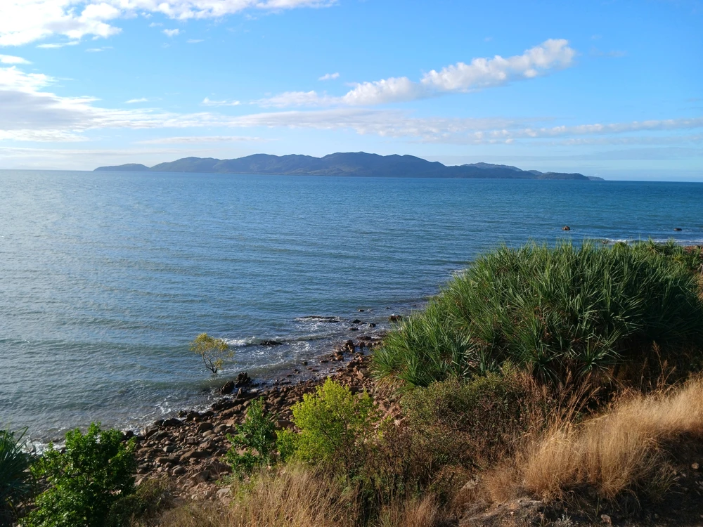 Image uploaded by Brenton