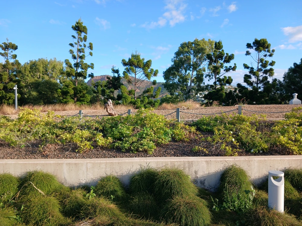 Image uploaded by Brenton