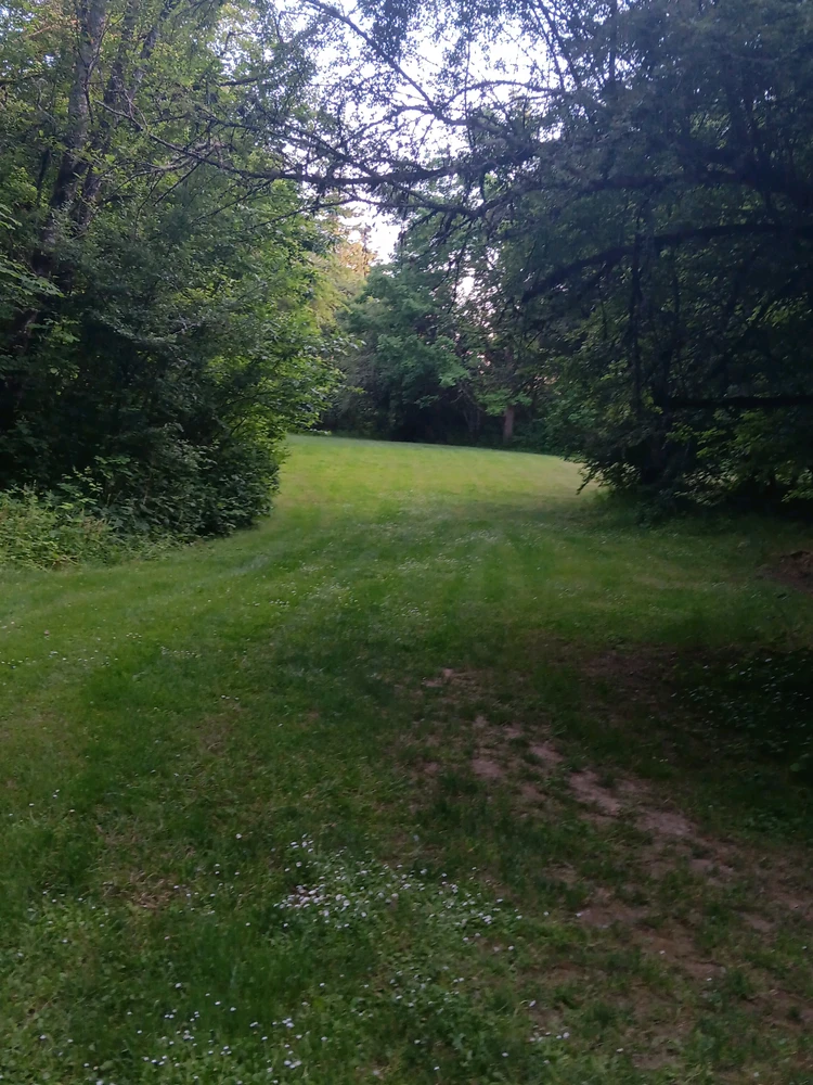 There's a giant field that looks like a good area to get slain at