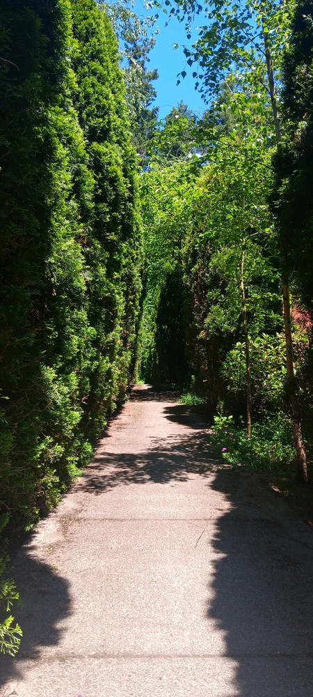 Cool walkway that leads up a mountain into a park