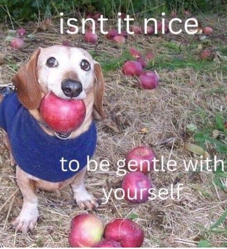 GIF uploaded by Alfie