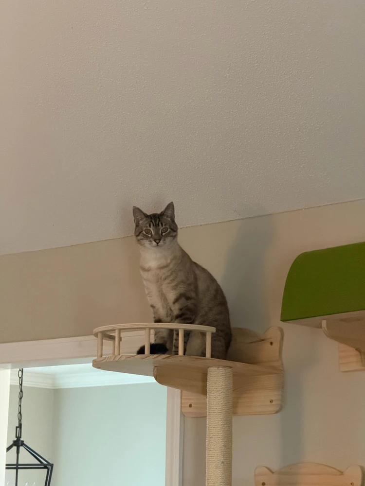 GIF postavljen od Taylor