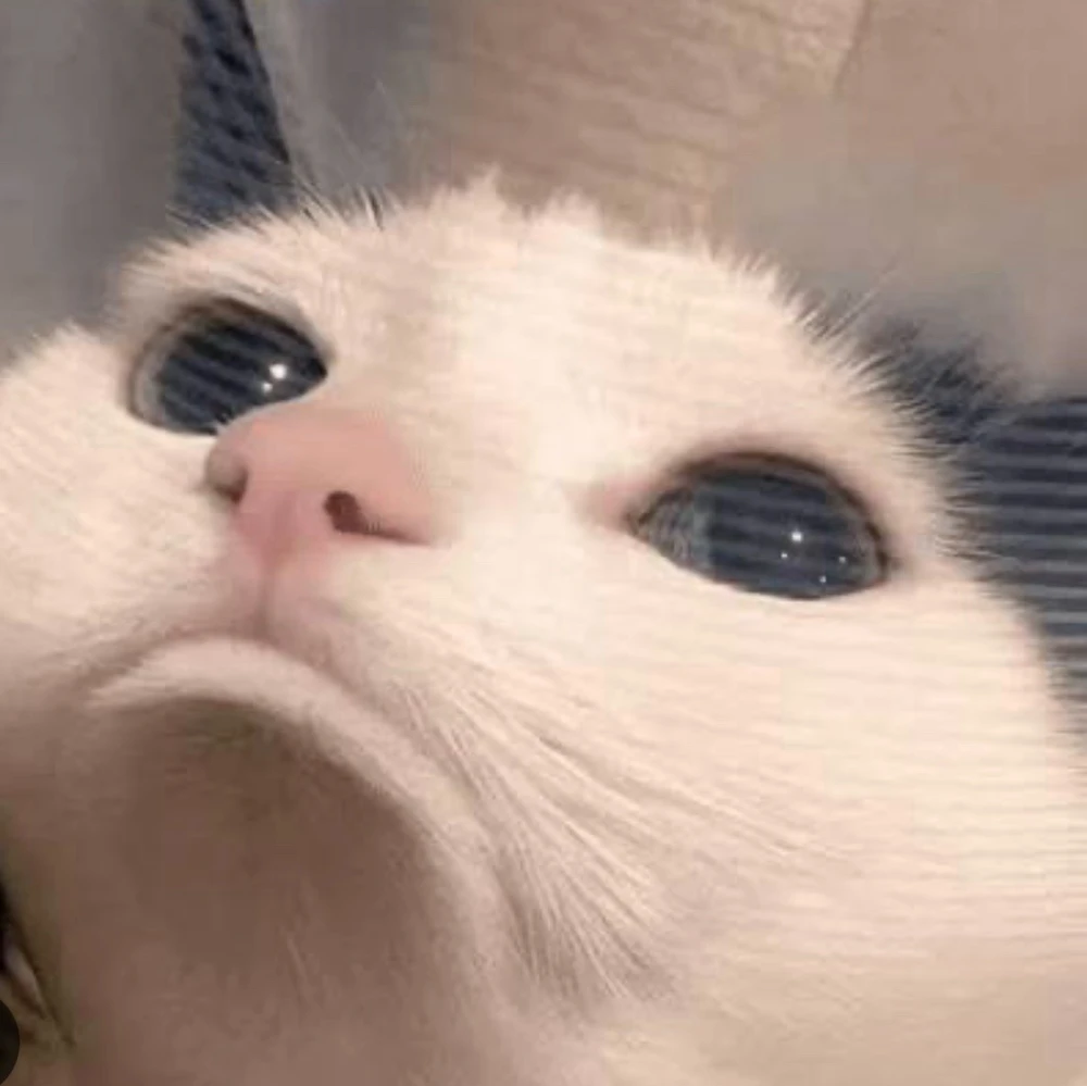 GIF dimuat naik oleh Karolina