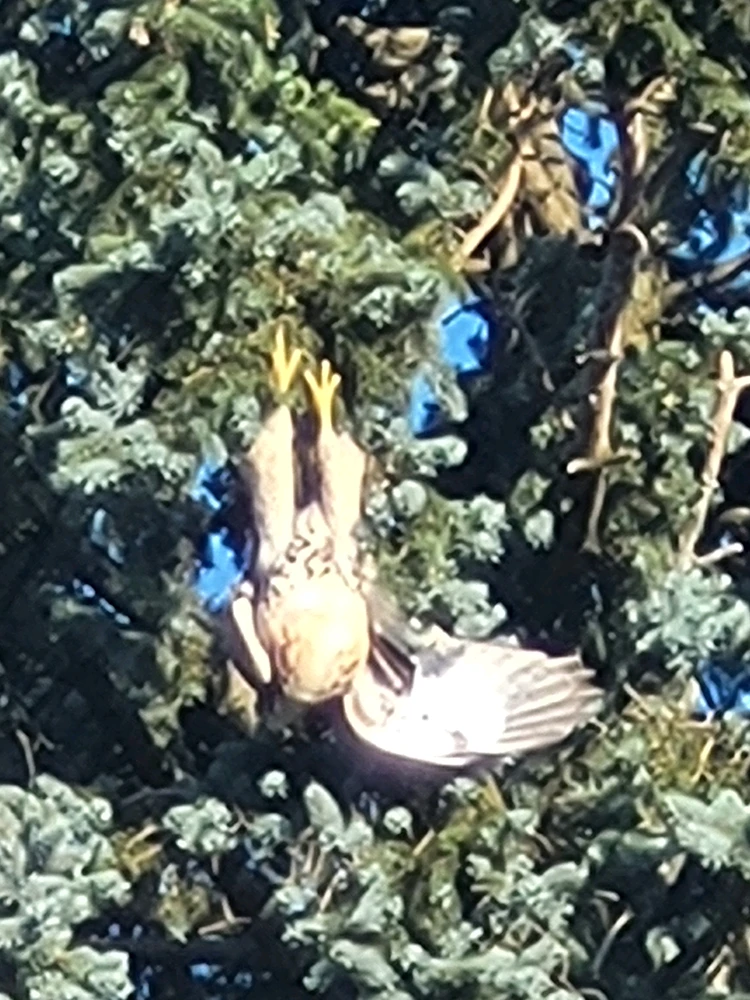 GIF diunggah ku Ryan