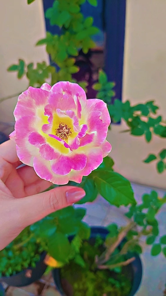 GIF uploaded by Yoona