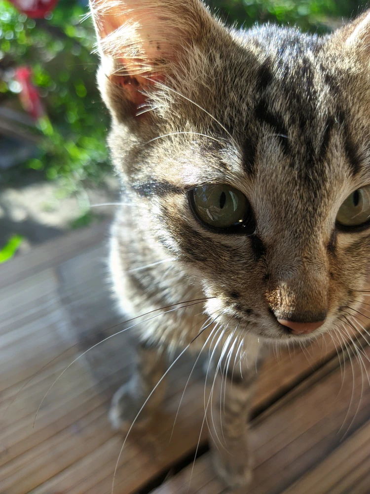 GIF uploaded by isha