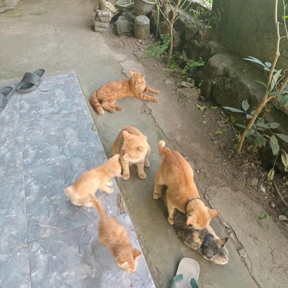 GIF uploaded by mazCheka