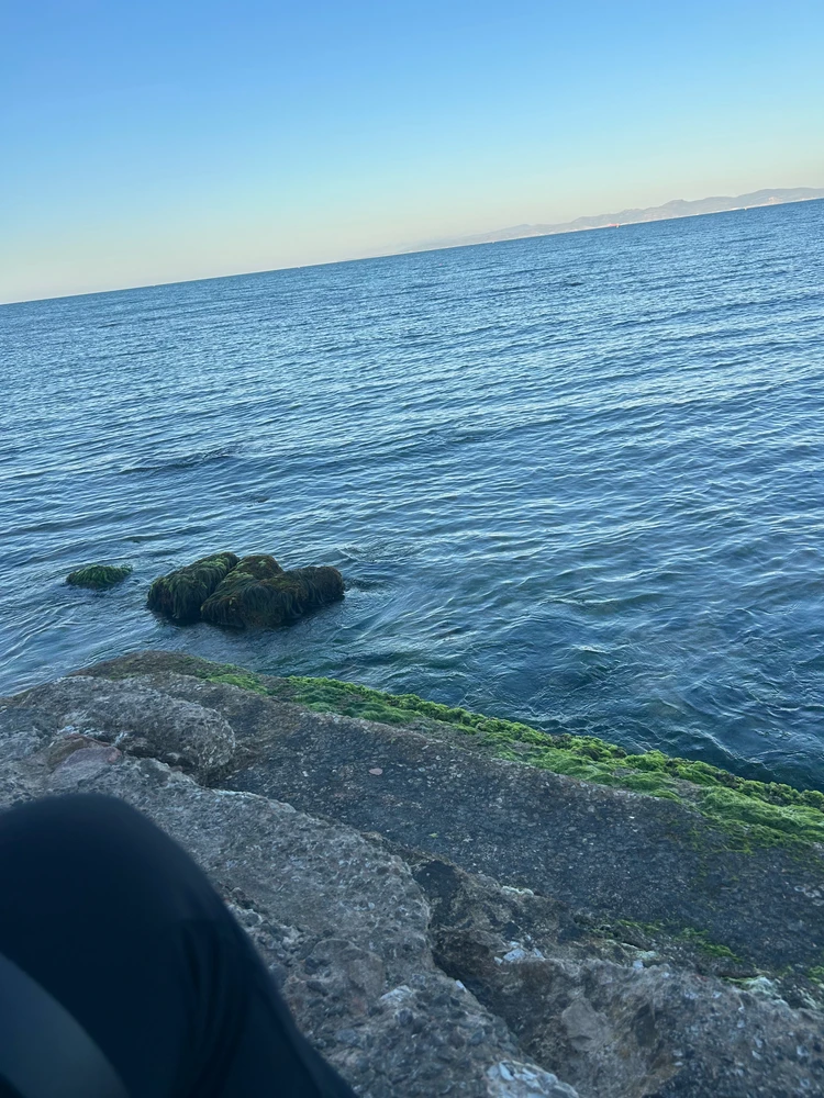 GIF uploaded by Ines B