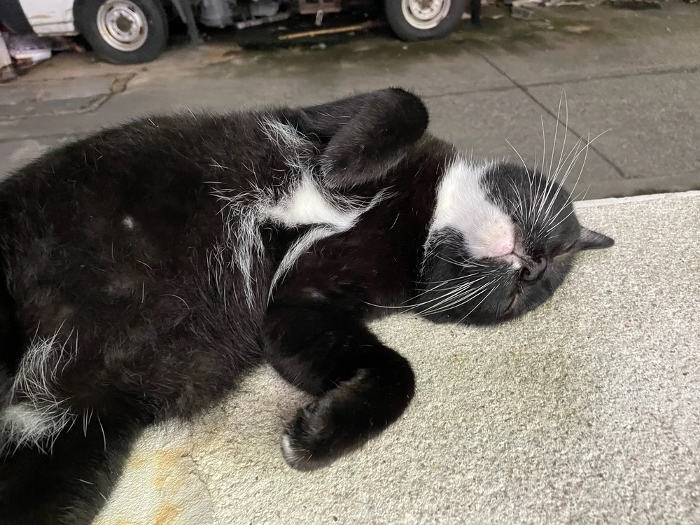 GIF uploaded by Daisy