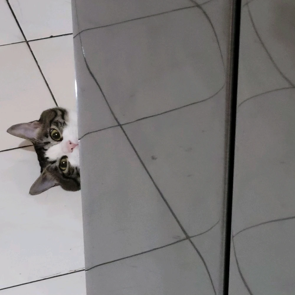 GIF uploaded by Ann