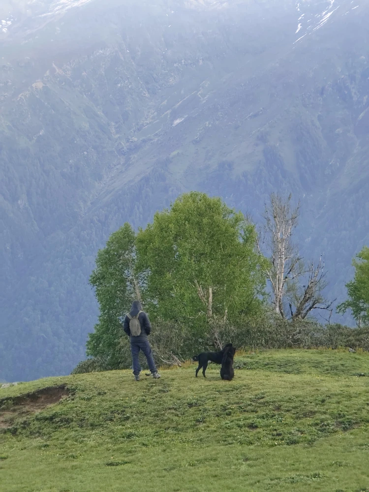 GIF uploaded by H