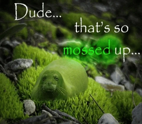 GIF diunggah ku Jacob