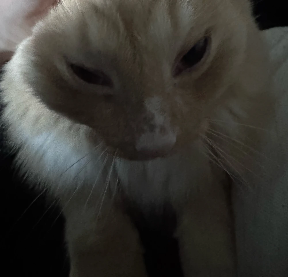 GIF uploaded by Emil