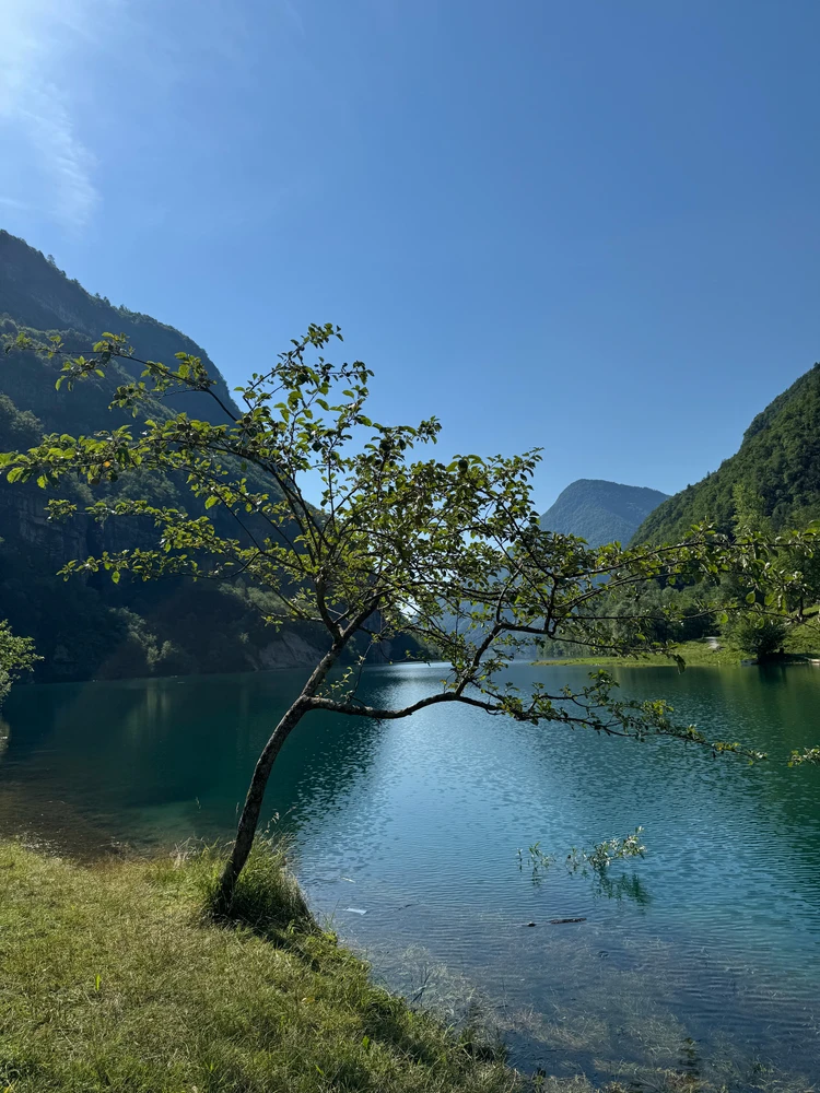 Image uploaded by Mattia Torresini