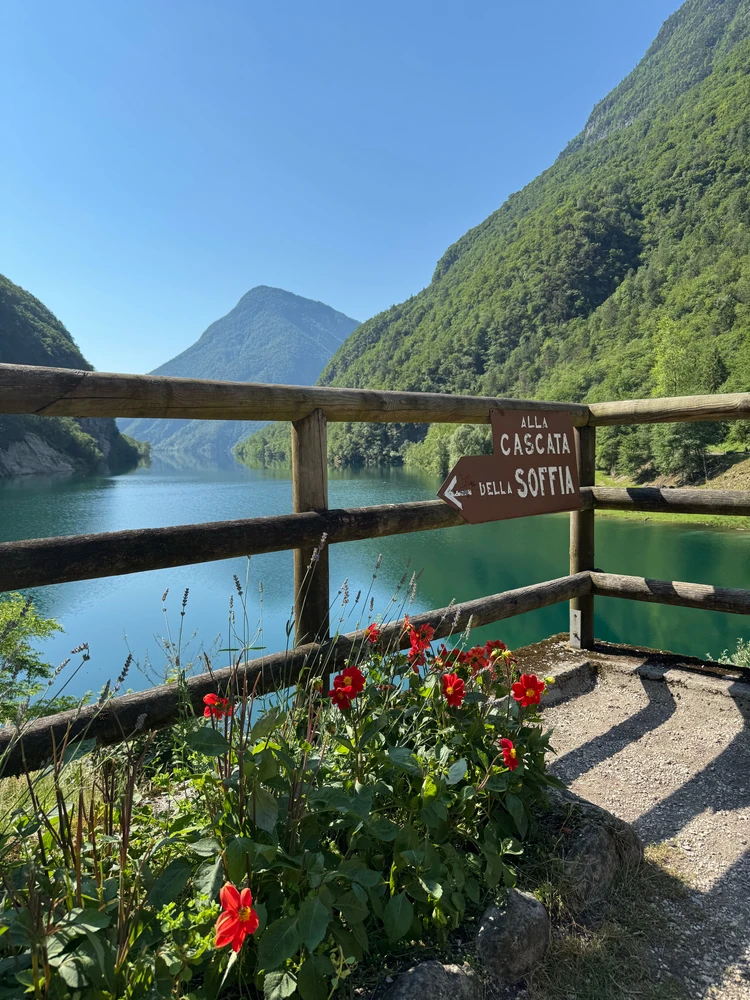 Image uploaded by Mattia Torresini
