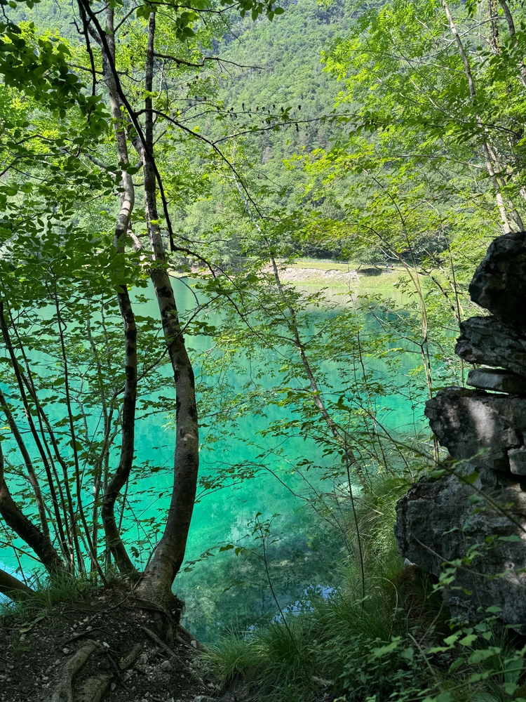 Image uploaded by Mattia Torresini