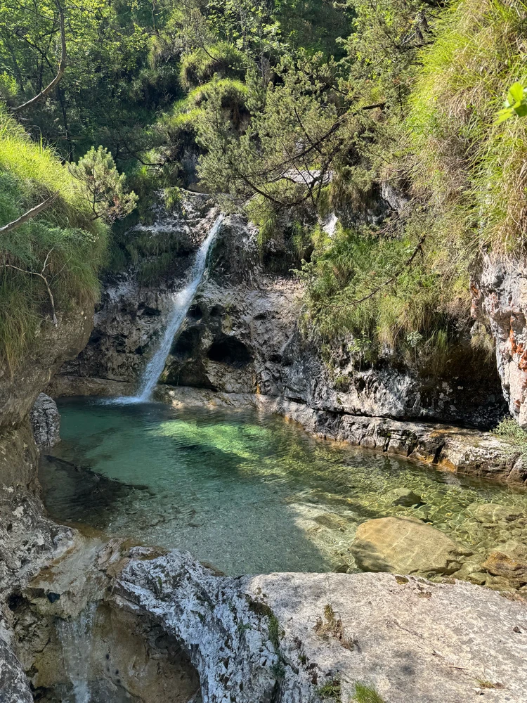 Image uploaded by Mattia Torresini