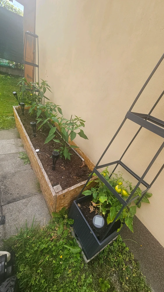 Obrázek nahrál Veronika