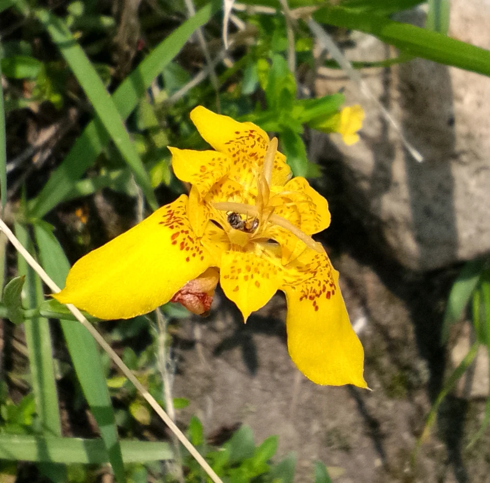 GIF uploaded by Juan M
