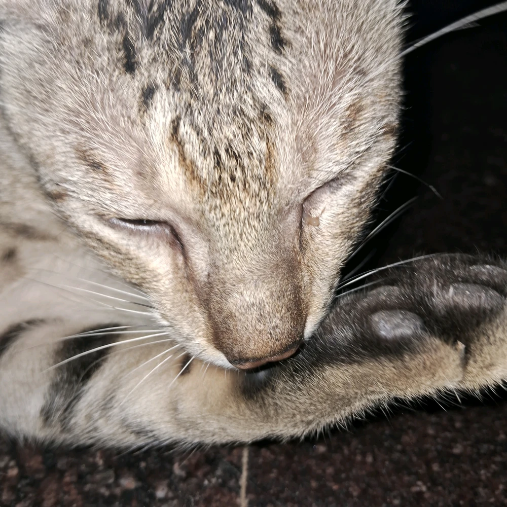 GIF uploaded by Ved