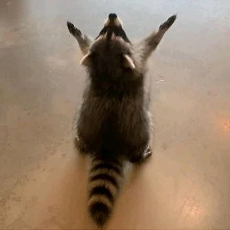 GIF uploaded by Yuri