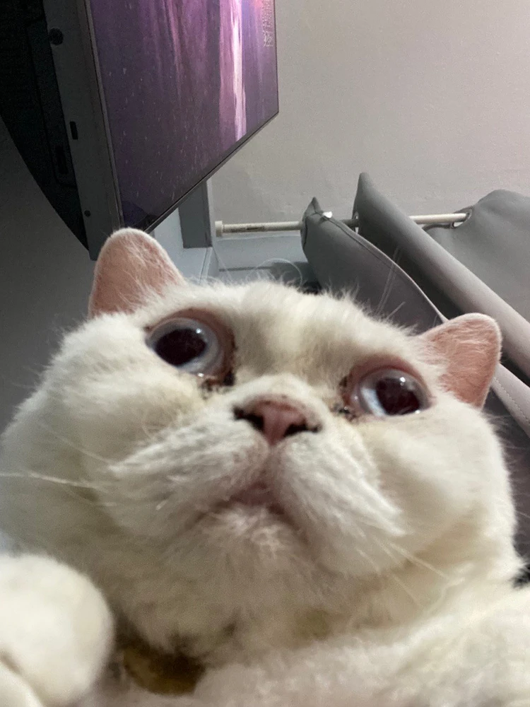 GIF uploaded by Stanley