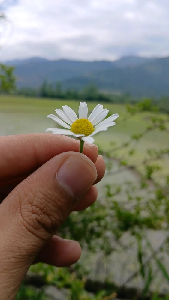 GIF uploaded by Haziq