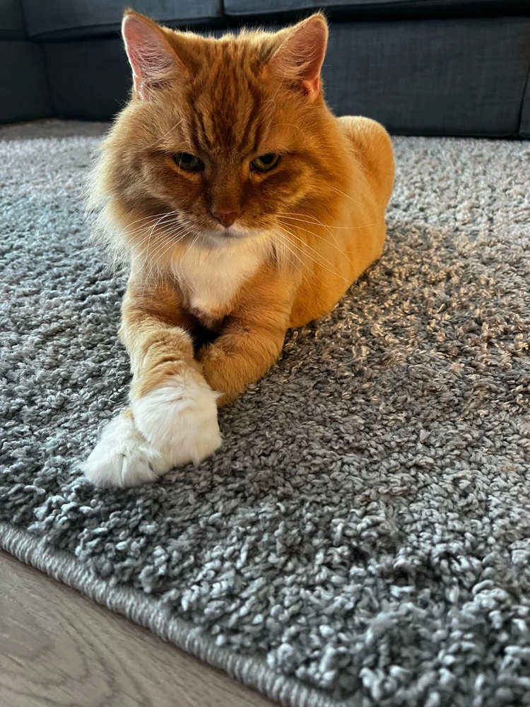 GIF uploaded by Max